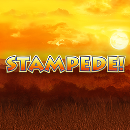 Stampede